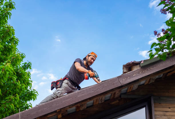 Best Sheet Metal Roofing  in Heber, CA